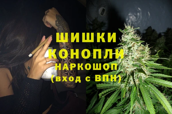 прущие грибы Зеленодольск