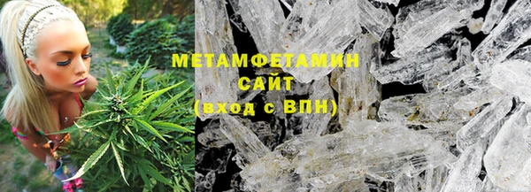 прущие грибы Зеленодольск