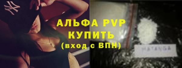 прущие грибы Зеленодольск