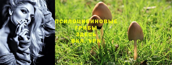 прущие грибы Зеленодольск
